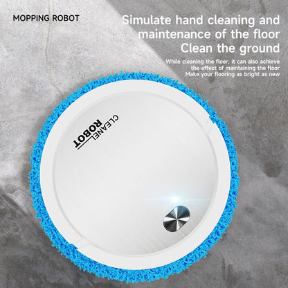 Fully Automatic Intelligent Mute Sweeping Robot